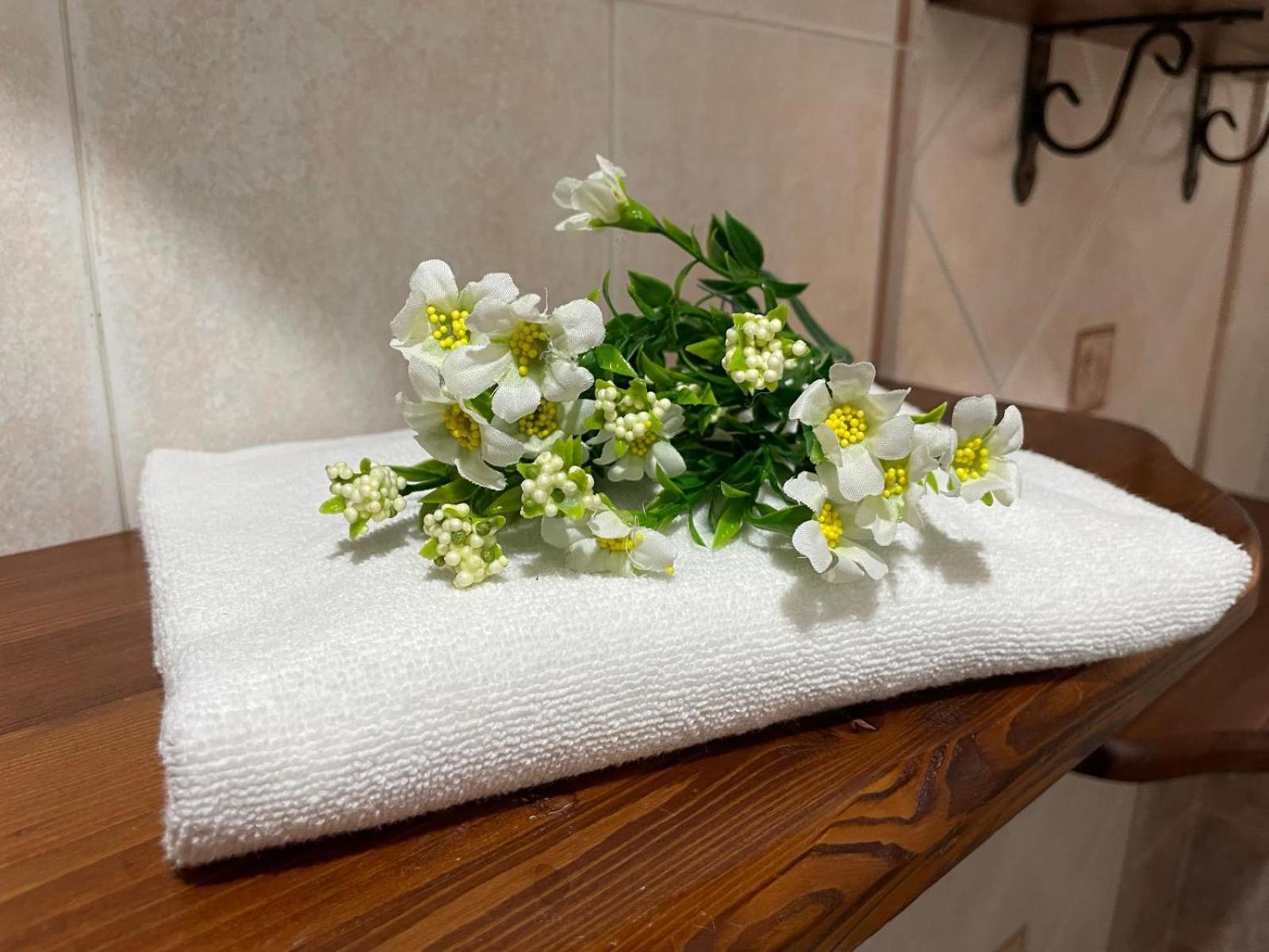 Vakantiehuis Blef House Fiumicino